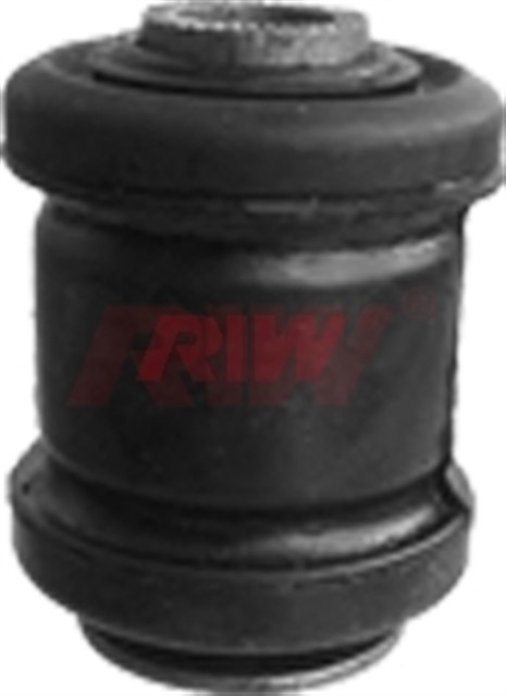 SALINCAK VE DENGE KOLU BURCU ORTA