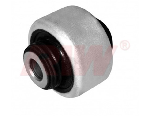 SALINCAK VE DENGE KOLU BURCU ALT DIS