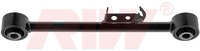 SALINCAK VE DENGE KOLU ARKA UST