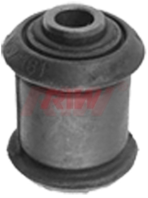 SALINCAK VE DENGE KOLU BURCU BUYUK