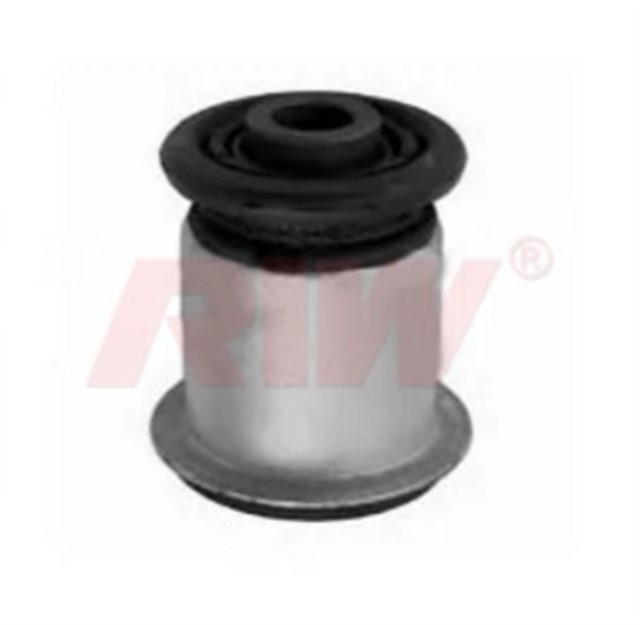 SALINCAK VE DENGE KOLU BURCU KUCUK ORTA