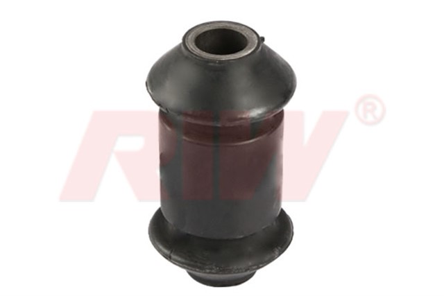 SALINCAK VE DENGE KOLU BURCU IC ALT