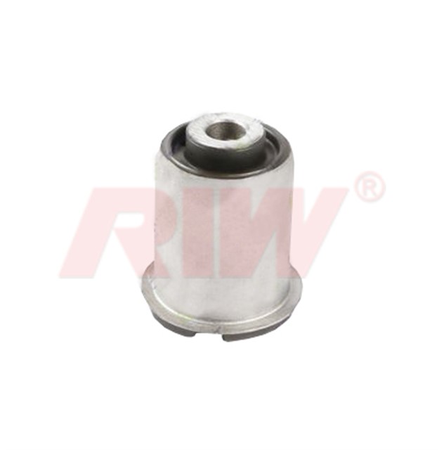 SALINCAK VE DENGE KOLU BURCU IC ON ALT