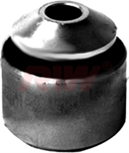 SALINCAK VE DENGE KOLU BURCU DIS ARKA ALT