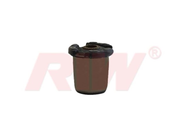 SALINCAK VE DENGE KOLU BURCU