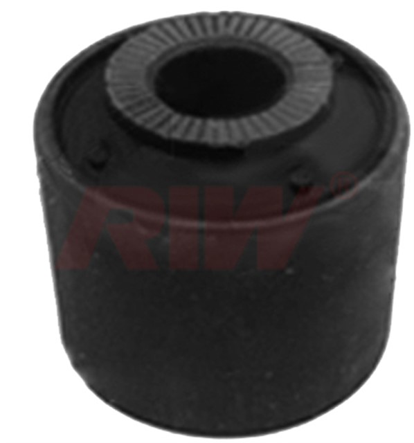 SALINCAK VE DENGE KOL BURCU ARKA ALT