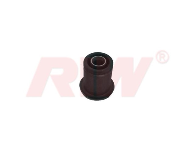 SALINCAK VE DENGE KOLU BURCU KUCUK ON ALT