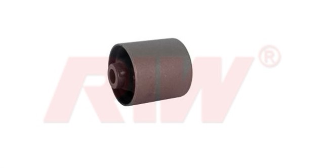 SALINCAK VE DENGE KOL BURCU ON ALT ARKA