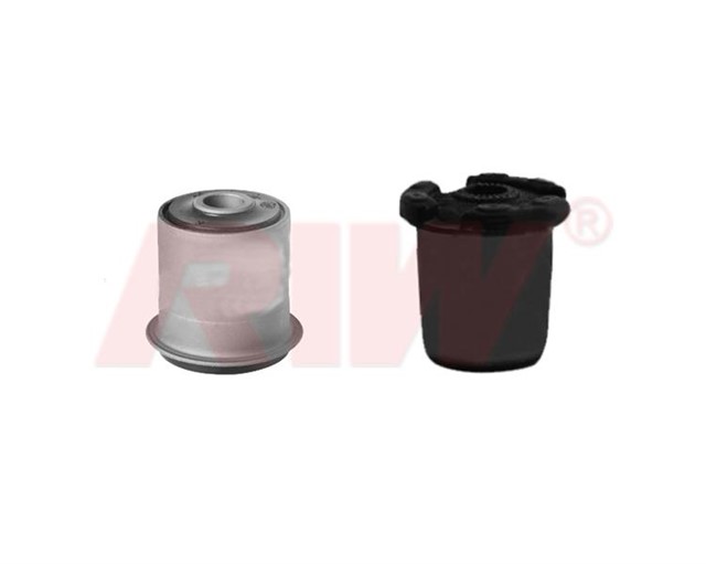 SALINCAK VE DENGE KOLU BURCU KITI