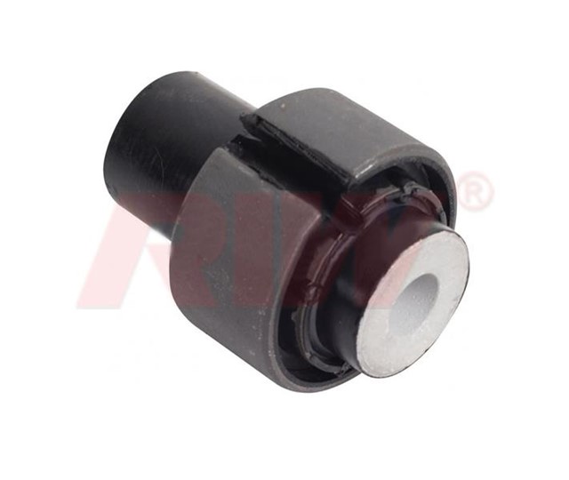 SALINCAK VE DENGE KOLU BURCU ARKA UST ARKA