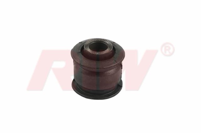 SALINCAK VE DENGE KOLU BURCU ARKA ALT