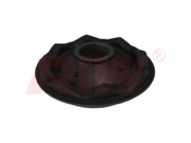 SALINCAK VE DENGE KOLU BURCU ORTA BUYUK