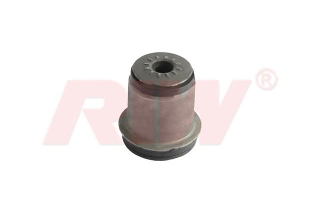 SALINCAK VE DENGE KOLU BURCU IC ON ALT