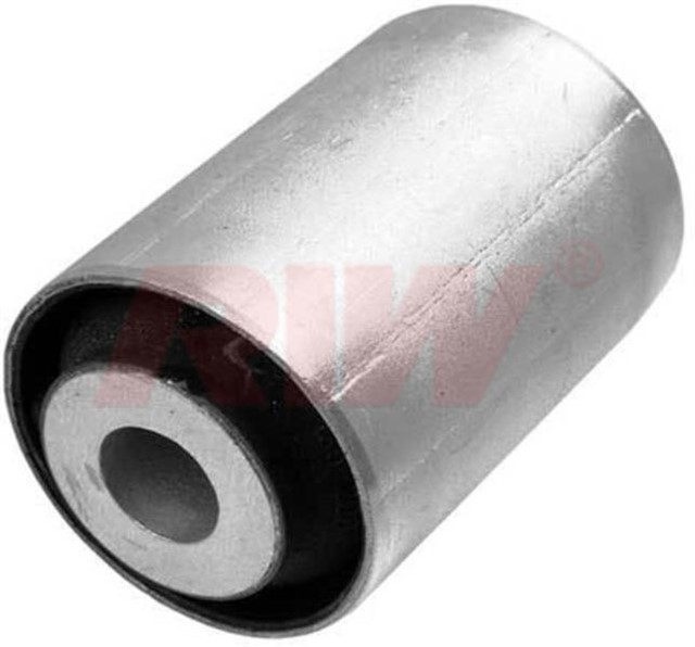 SALINCAK VE DENGE KOL BURCU ARKA