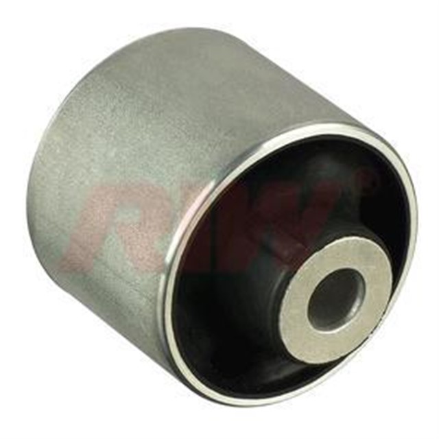 SALINCAK VE DENGE KOLU BURCU ARKA UST