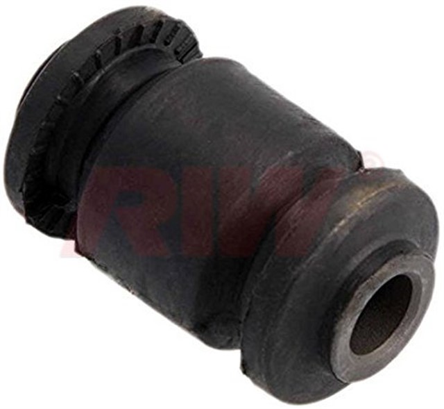 SALINCAK VE DENGE KOLU BURCU DIS ALT