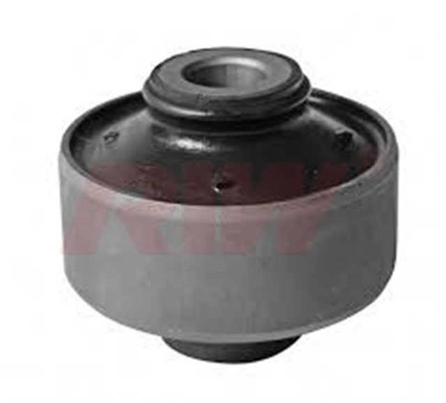 SALINCAK VE DENGE KOLU BURCU BUYUK