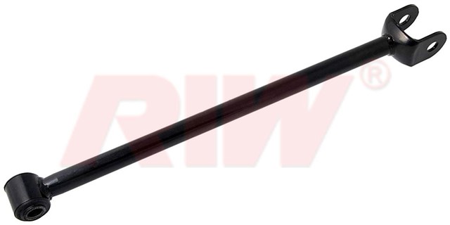 SALINCAK VE DENGE KOLU ARKA ON