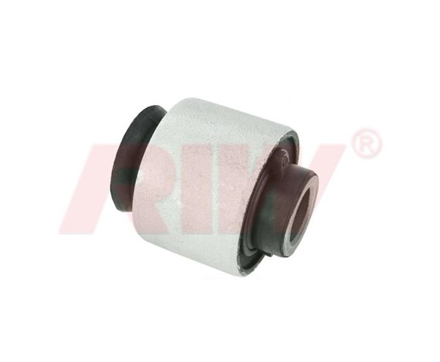 SALINCAK VE DENGE KOLU BURCU ARKA