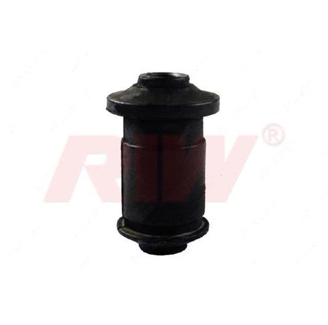 SALINCAK VE DENGE KOLU BURCU DIS ON ALT