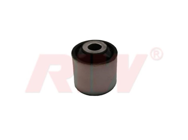 SALINCAK VE DENGE KOL BURCU ARKA