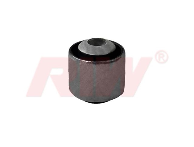 SALINCAK VE DENGE KOL BURCU ARKA ALT