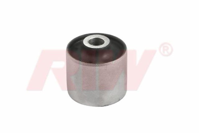 SALINCAK VE DENGE KOLU BURCU ARKA UST