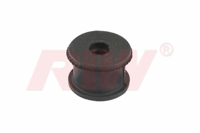 SALINCAK VE DENGE KOLU BURCU BUYUK ARKA