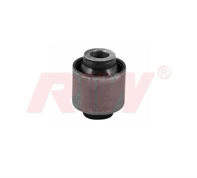 SALINCAK VE DENGE KOLU BURCU KUCUK ARKA ALT