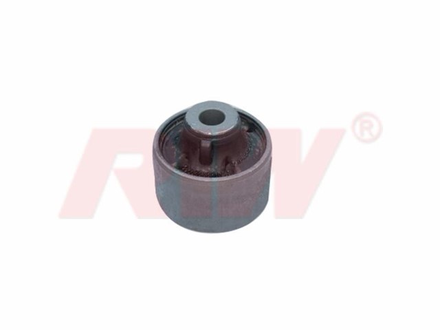 SALINCAK VE DENGE KOLU BURCU BUYUK