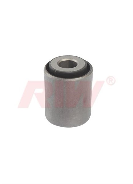 SALINCAK VE DENGE KOLU BURCU ARKA UST