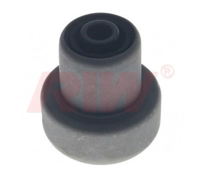 SALINCAK VE DENGE KOLU BURCU ORTA IC