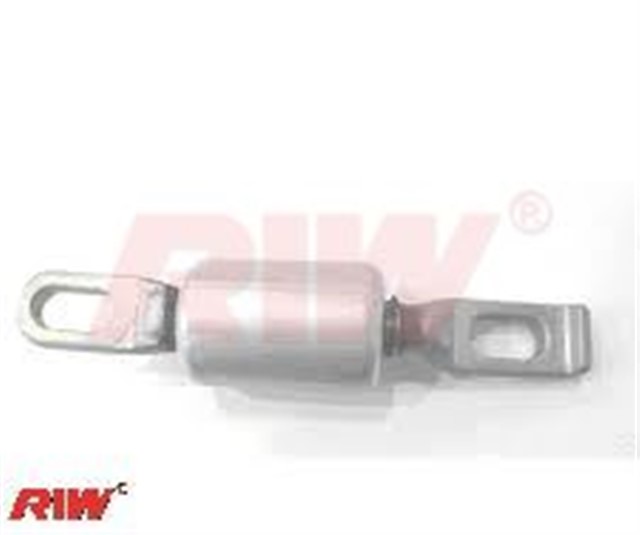 SALINCAK VE DENGE KOL BURCU ARKA