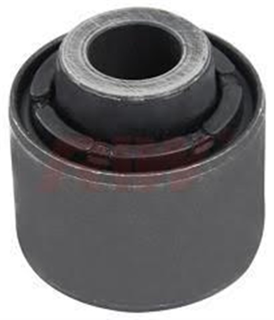 SALINCAK VE DENGE KOL BURCU ARKA