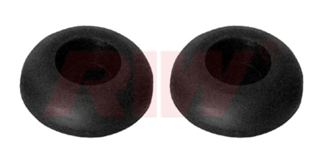 SALINCAK VE DENGE KOLU BURCU KITI ORTA