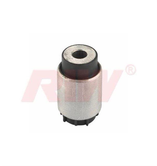 SALINCAK VE DENGE KOLU BURCU IC ON ALT