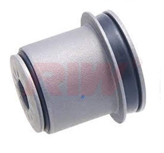 SALINCAK VE DENGE KOL BURCU