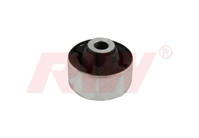 SALINCAK VE DENGE KOLU BURCU DIS ON