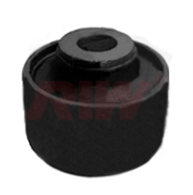 SALINCAK VE DENGE KOLU BURCU KUCUK