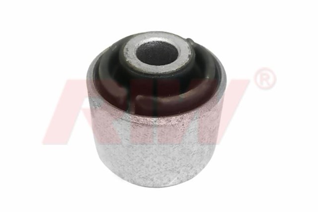 SALINCAK VE DENGE KOL BURCU ARKA ALT ARKA