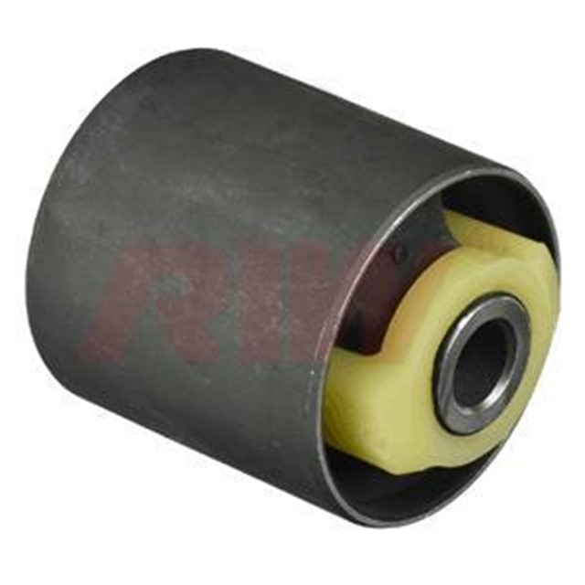 SALINCAK VE DENGE KOL BURCU ARKA ALT