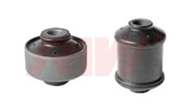 SALINCAK VE DENGE KOLU BURCU KITI