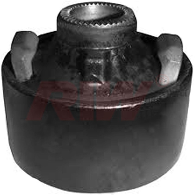 SALINCAK VE DENGE KOLU BURCU BUYUK