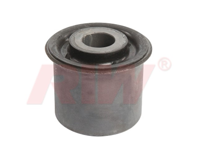 SALINCAK VE DENGE KOLU BURCU