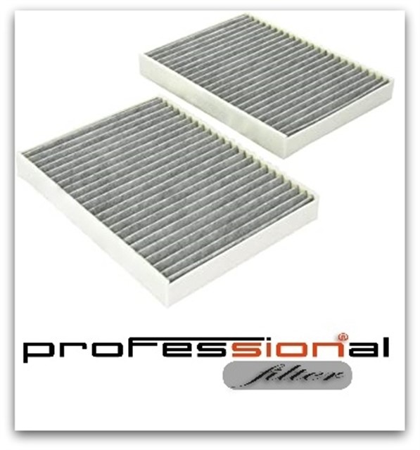 POLEN FILTRESI X2 BMW E39 KARBONLU