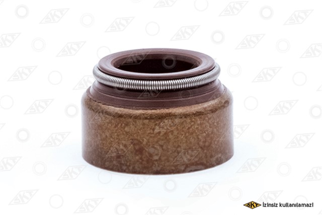 SUPAP FORD YENI CARGO EURO 6