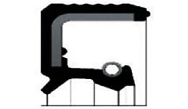 SANZIMAN KECESI ON MAN ESKI TIP - MEKANIK SANZ.