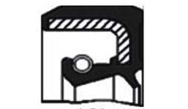 DIFERANSIYEL KECESI [48X62X7] BORA - CADDY - GOLF - JETTA - PASSAT - POLO - A3 - SUPER B 97 - 