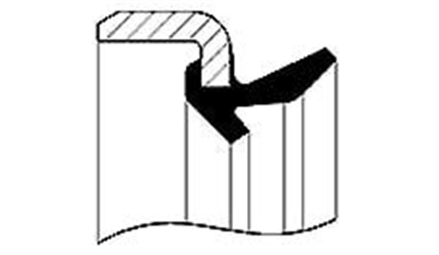 ARKA AKS KECESI RENAULT 12 TOROS