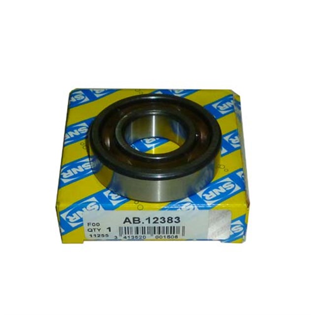 PRIZDIREK RULMANI TMPR